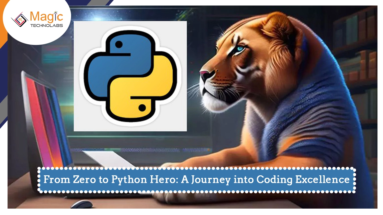 From Zero To Python Hero: A Journey Into Coding Excellence